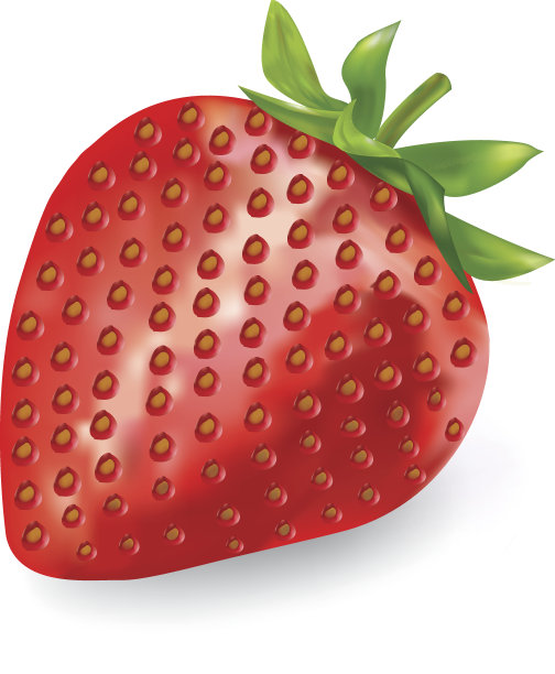 草莓,插图图片下载