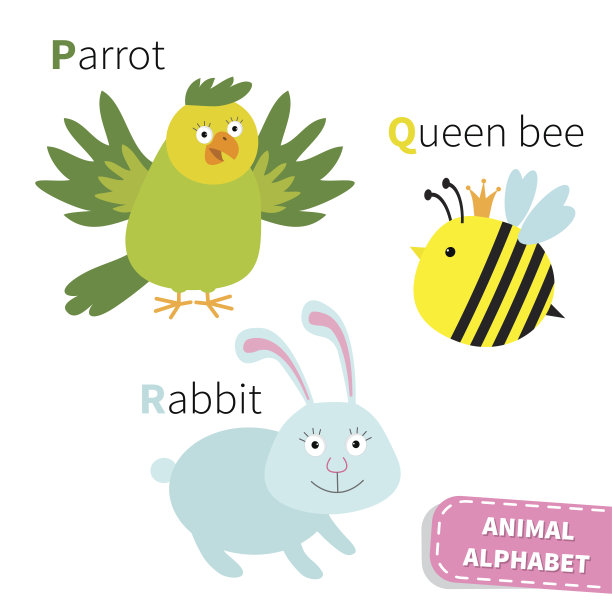 字母P Q R鹦鹉女王蜜蜂兔子动物园字母表。图片下载