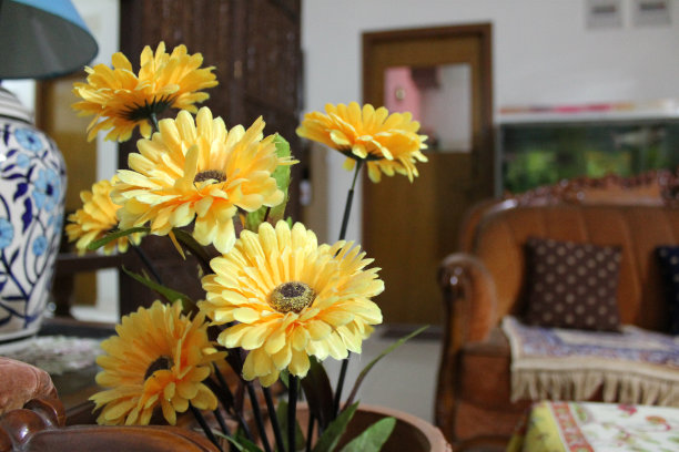 鲜花室内图片下载