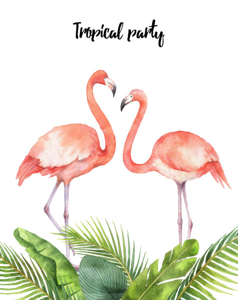 水彩画的热带树叶和粉红色火烈鸟孤立在白色的背景。图片下载