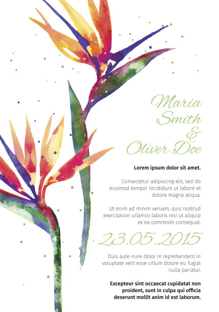 矢量背景与星草花图片下载