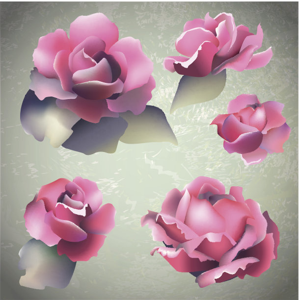 现实向量玫瑰集图片下载