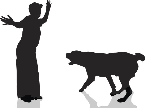 向量轮廓。图片下载