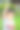 可爱帅气的孩子在绿色的公园里玩耍图片下载