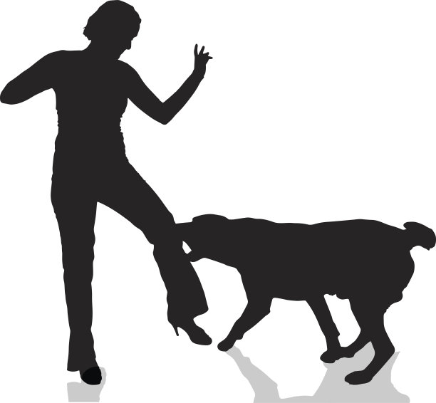 向量轮廓。图片下载