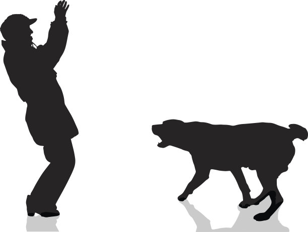 向量轮廓。图片下载