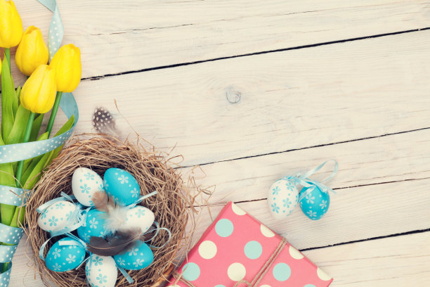 复活节里有蓝色和白色的蛋，黄色的郁金香图片下载