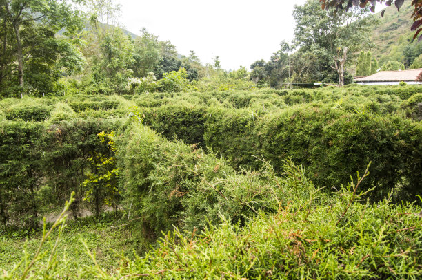 迷宫内部，轻雾图片下载