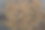 烤盘上的面包丁图片下载