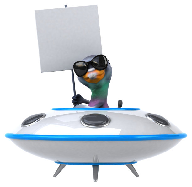 有趣的鸽子图片下载