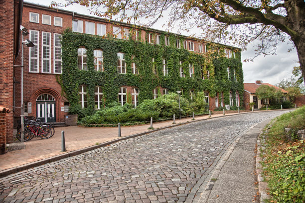 德国吕贝克，藤蔓爬上一座砖砌建筑图片下载