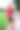 女跑步者在公园马拉松前伸展她的身体图片下载