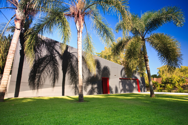 外墙上棕榈叶的影子图片下载