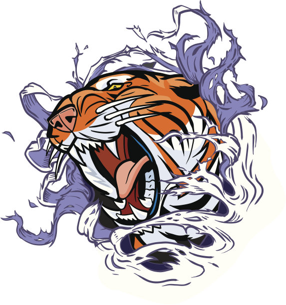 咆哮的老虎撕开背景矢量插图素材图片