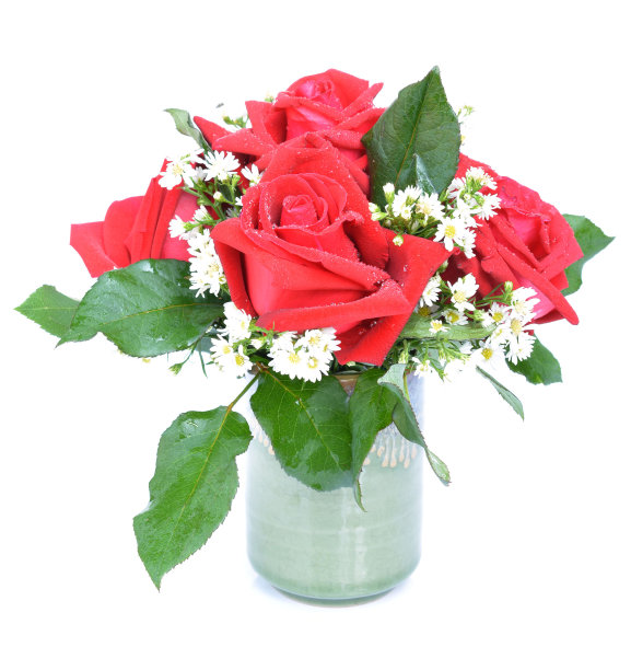 孤立在白色背景上的红玫瑰图片下载