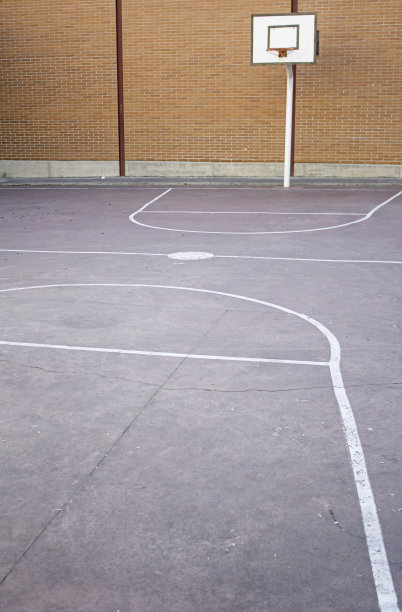 院子里的篮球图片下载