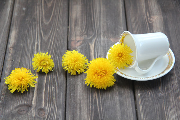 咖啡杯和蒲公英的花朵图片下载