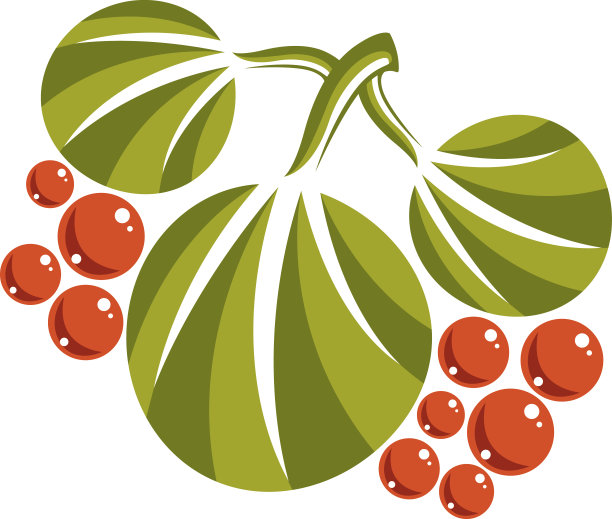 三个简单的绿色载体叶子和橙色的种子，自然图片下载