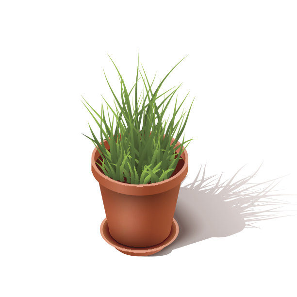 隔陶花盆用一株小草。等距的房子花孤立在一个白色的背景。矢量图图片下载