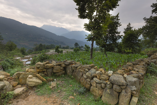 越南少数民族的石篱笆和玉米地图片下载