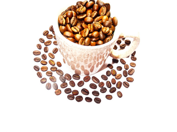 一杯咖啡种子图片下载