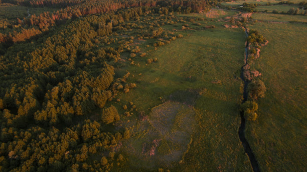 从上面俯瞰美丽狭窄蜿蜒的河流。图片下载