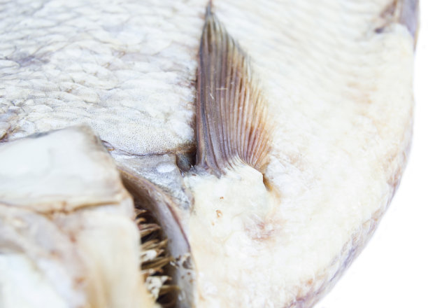 fish结束图片下载