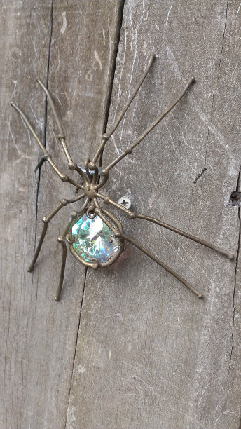 栅栏上的蜘蛛艺术装饰图片下载