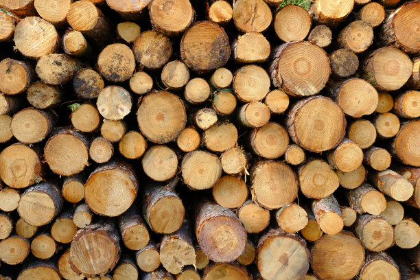 堆放木材图片下载