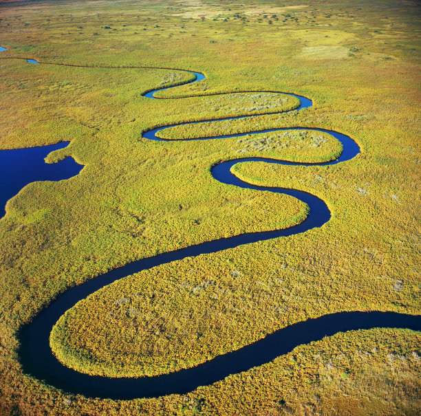 野生动物图片下载
