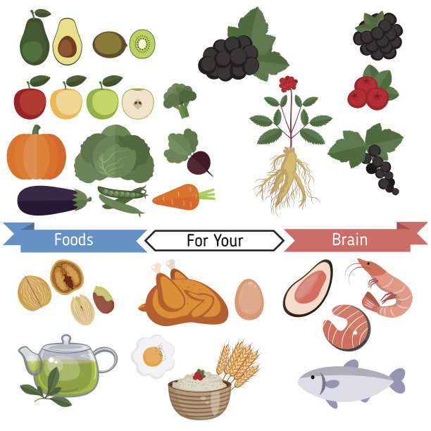 大脑和健康的食物图片下载