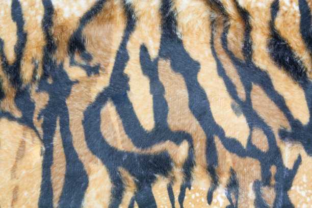 纹理的老虎图片下载