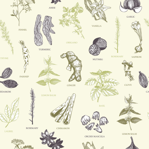 复古香料背景为您的菜单或厨房设计图片下载