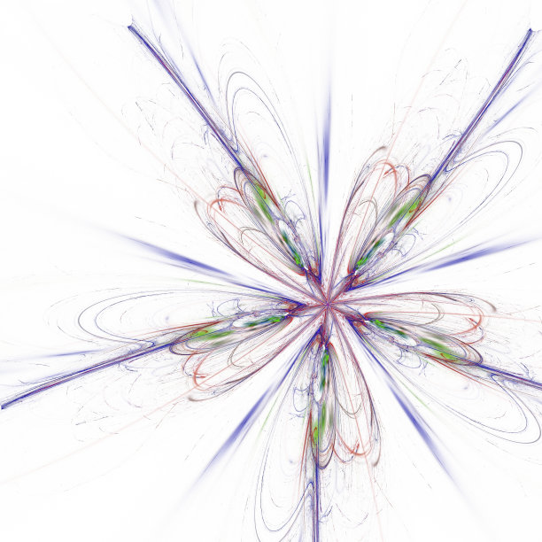 布鲁姆图片下载