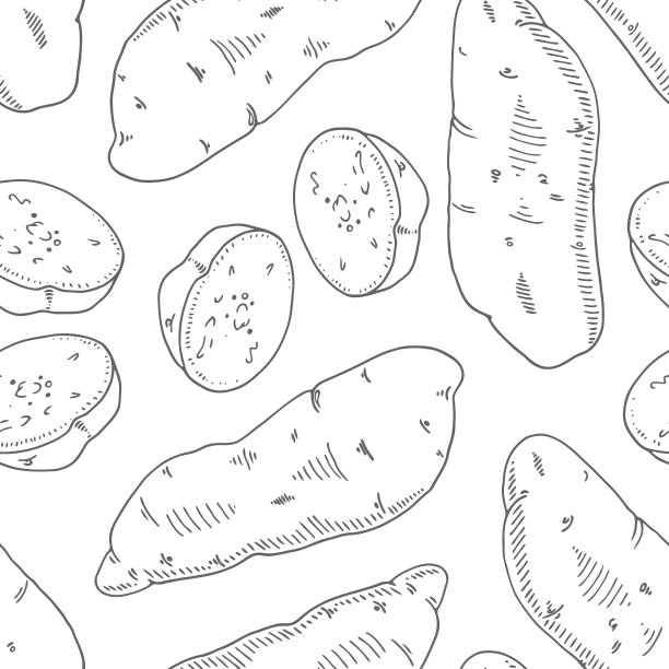 用红薯手绘无缝图案。单色背景素描风格图片下载