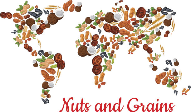 世界地图形状中的坚果和谷物图片下载
