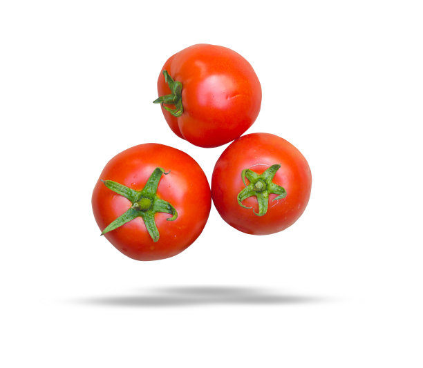 特写新鲜番茄孤立的白色背景。图片下载