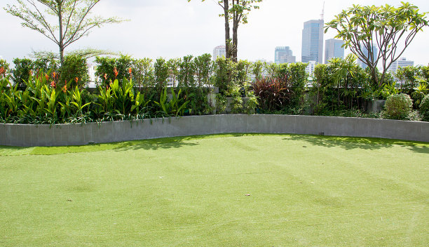 草坪和花园图片下载