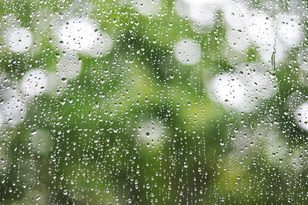 自然背景。抽象模糊的夏季绿色散景图片下载