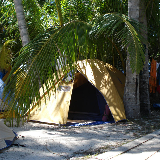 黄色帐篷掩映在棕榈树下图片下载