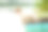 夏日场景:湿狗站在河船上图片下载