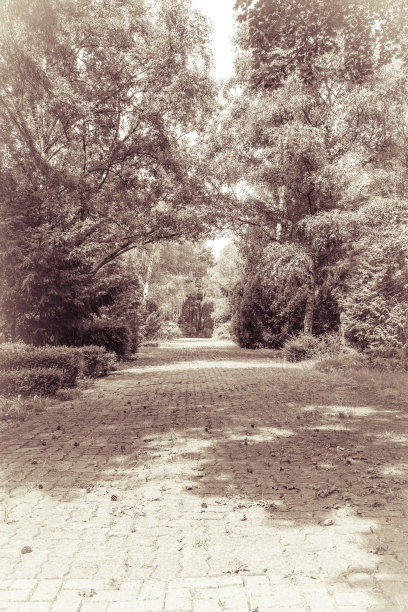 穿过公园的一条路的老式照片图片下载