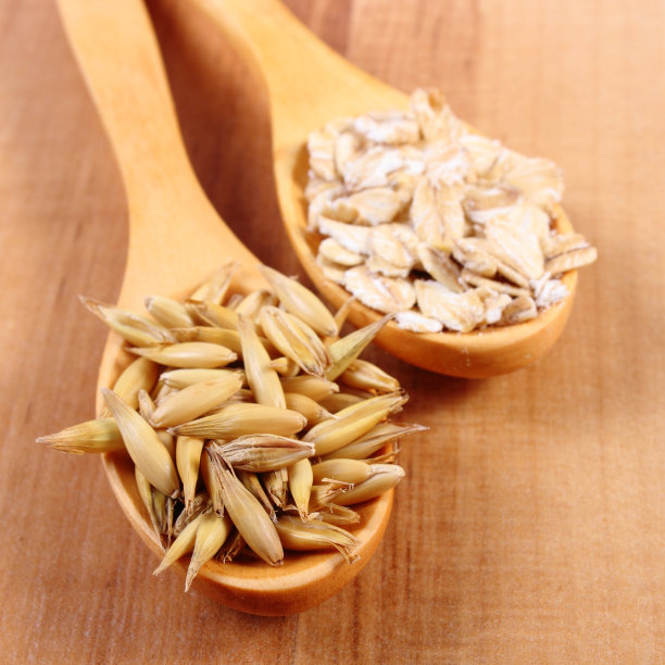 有机燕麦和木勺燕麦，营养健康图片下载