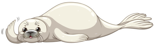 白皮海豹图片下载