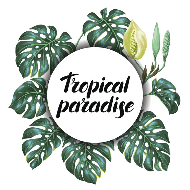 背景与怪物的叶子。装饰形象的热带树叶和图片下载