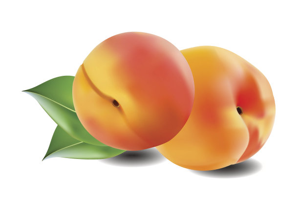 两个成熟的桃子带着叶子。图片下载