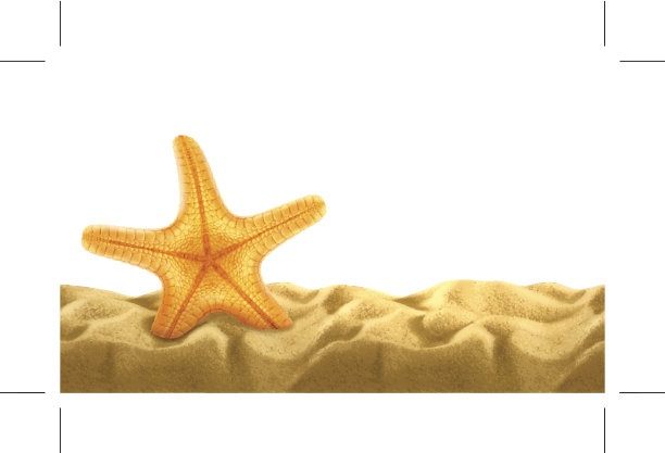 夏天的背景图片下载