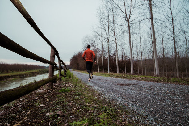 河边的小道图片下载