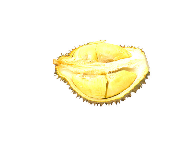 榴莲果图片下载