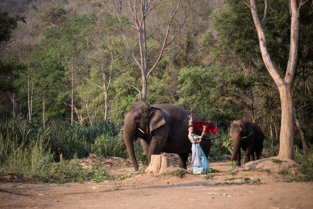 穿着传统服装的泰国女人图片下载